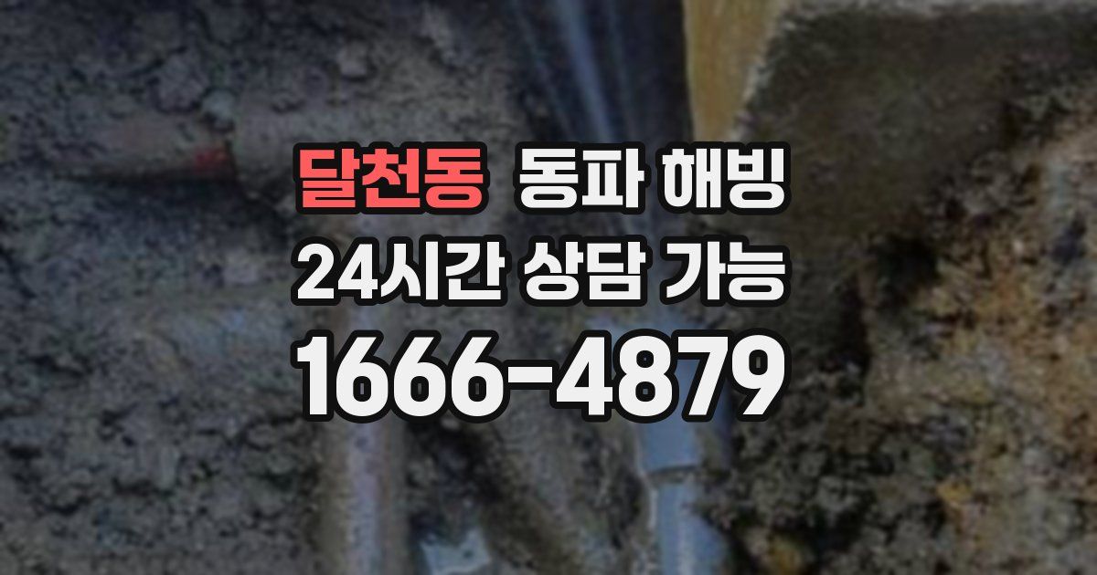 달천동 동파 해빙