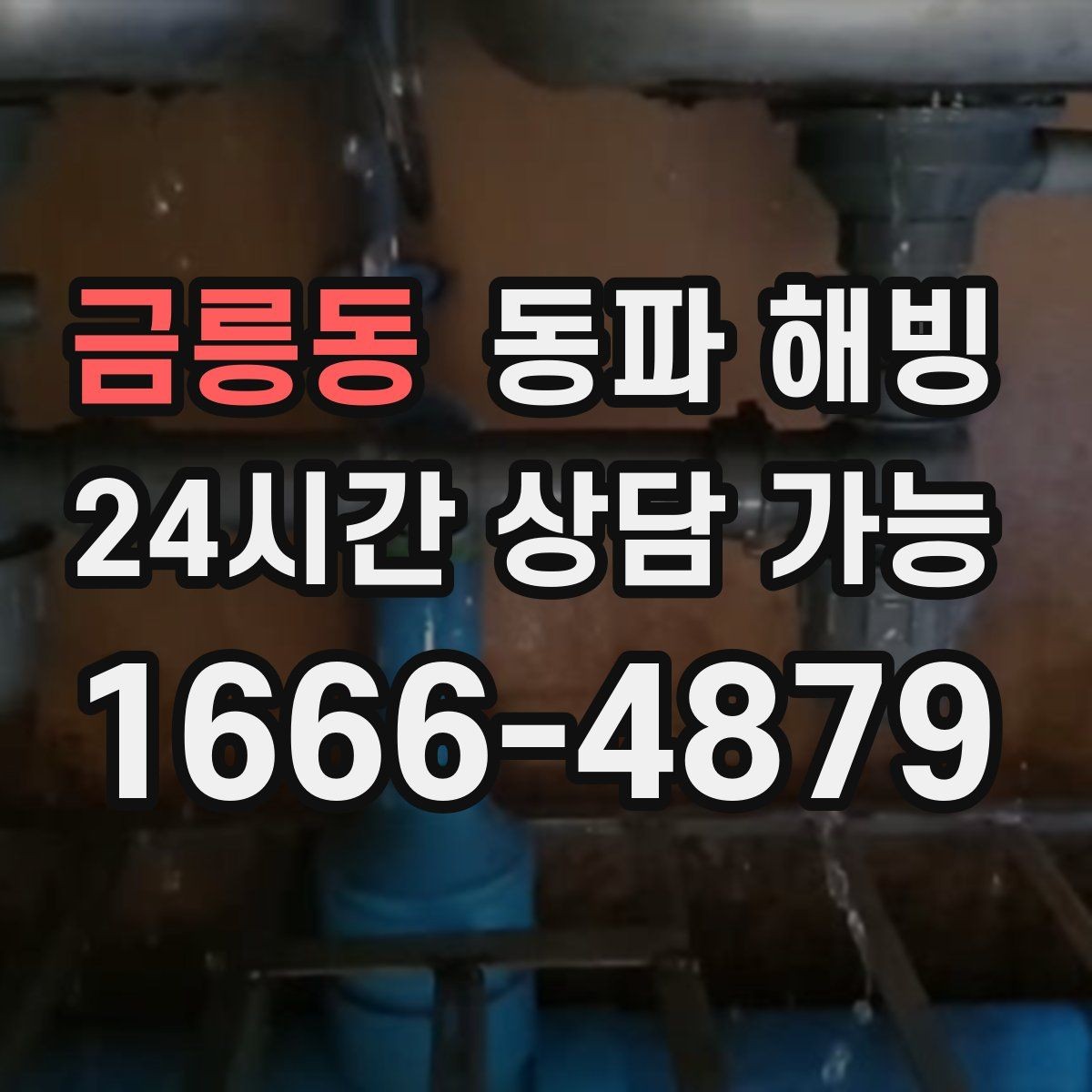 금릉동 동파 해빙 한파 뒤 많이 생기는 결빙 위치 정리