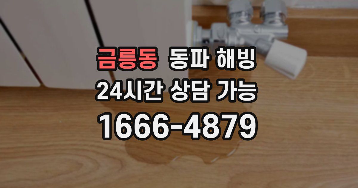 금릉동 동파 해빙