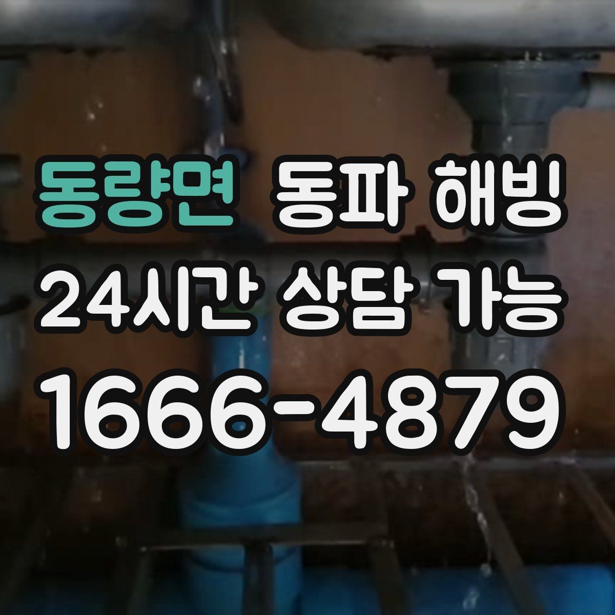 동량면 동파 해빙 한파 뒤 수도가 멈춘 집 공통 패턴