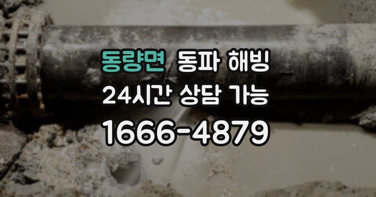 동량면 동파 해빙