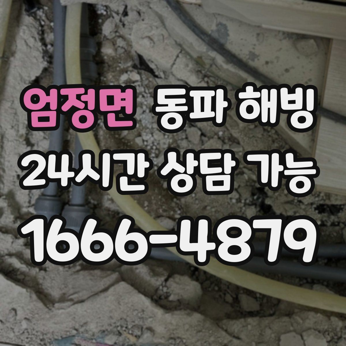 엄정면 동파 해빙 세탁기만 막히는 결빙 패턴 정리