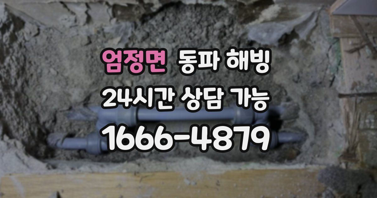 엄정면 동파 해빙