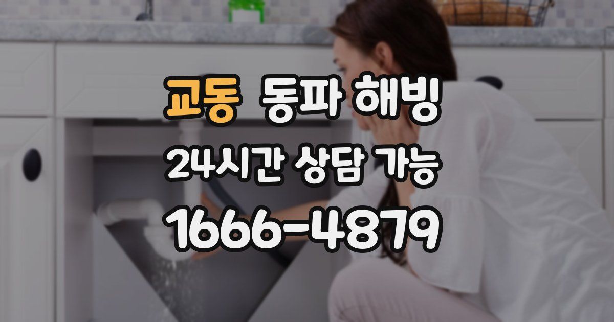 교동 동파 해빙