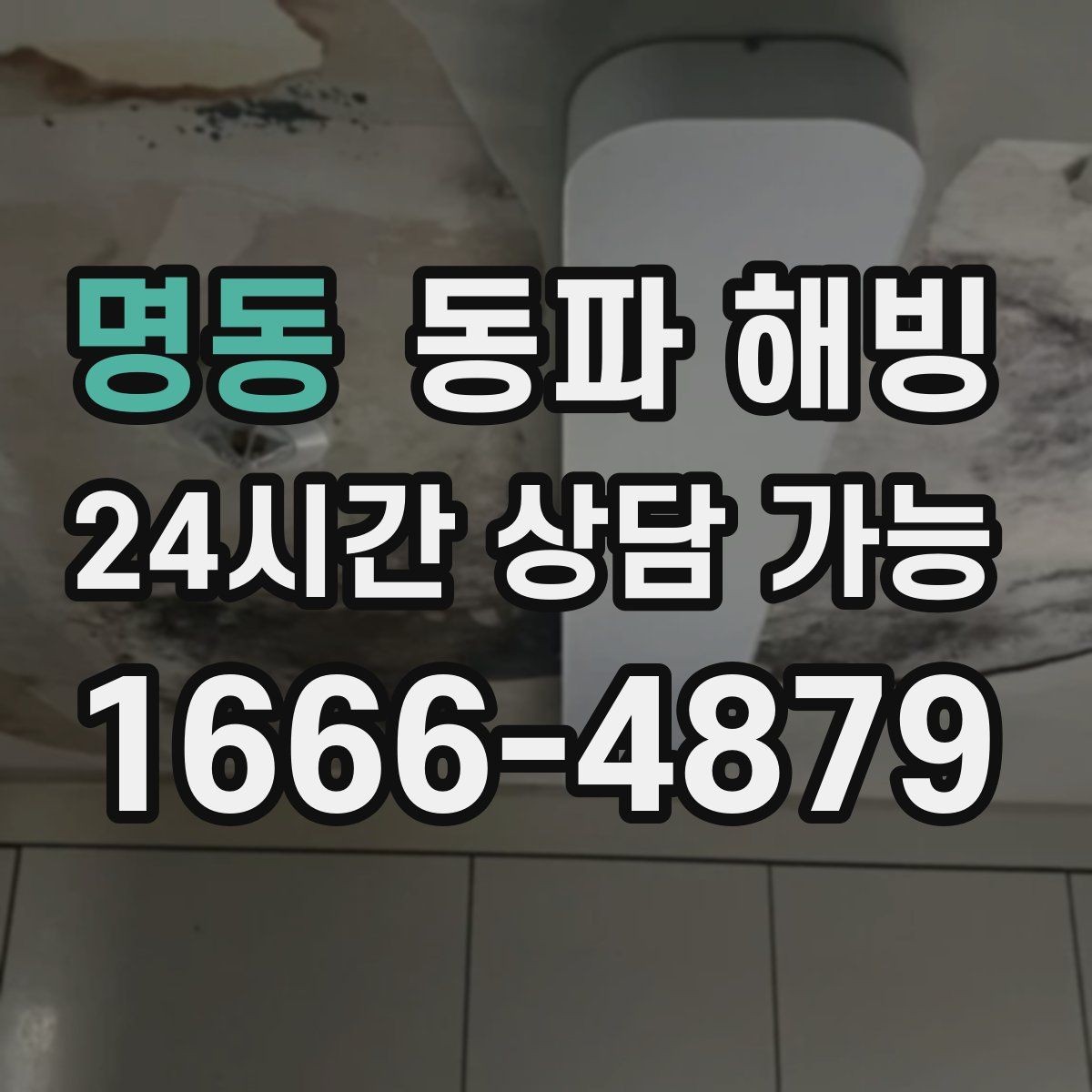 명동 동파 해빙 급수 문제로 문의 전 확인하면 좋은 체크