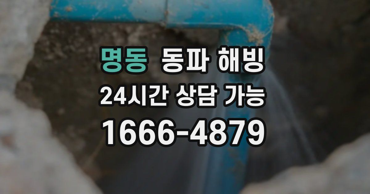 명동 동파 해빙