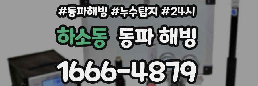 하소동 동파
