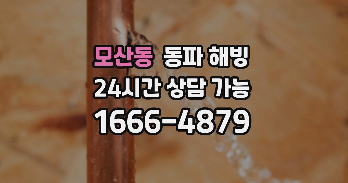 모산동 동파 해빙