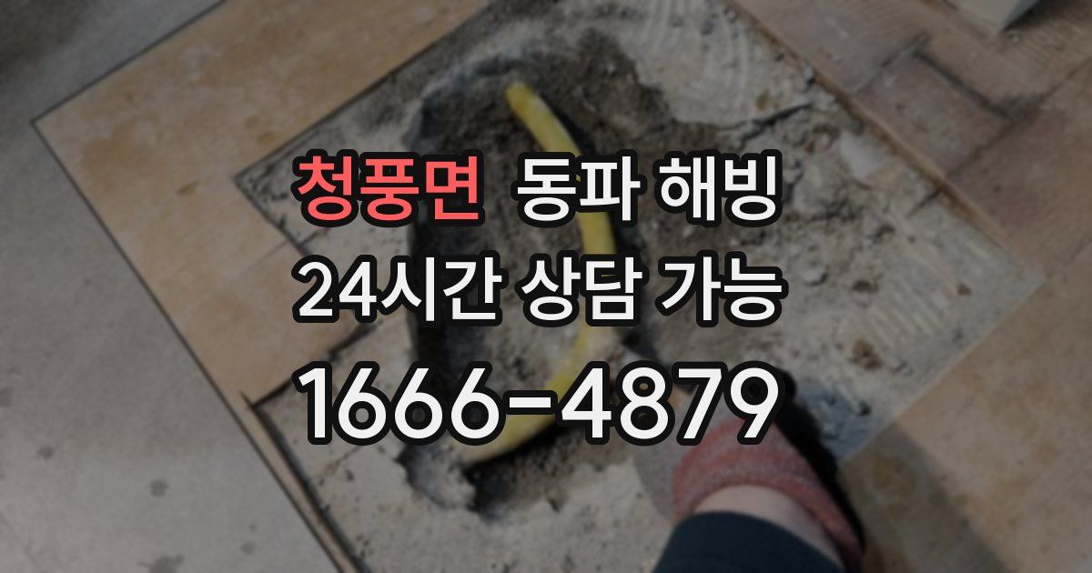 청풍면 동파 해빙