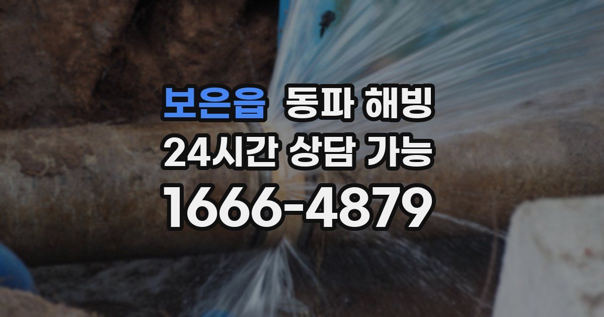 보은읍 동파 해빙