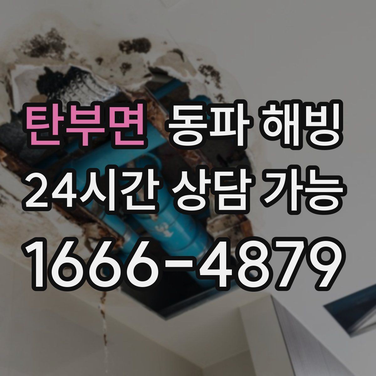 탄부면 동파 해빙 파손 위험을 줄이는 단계적 점검 방법