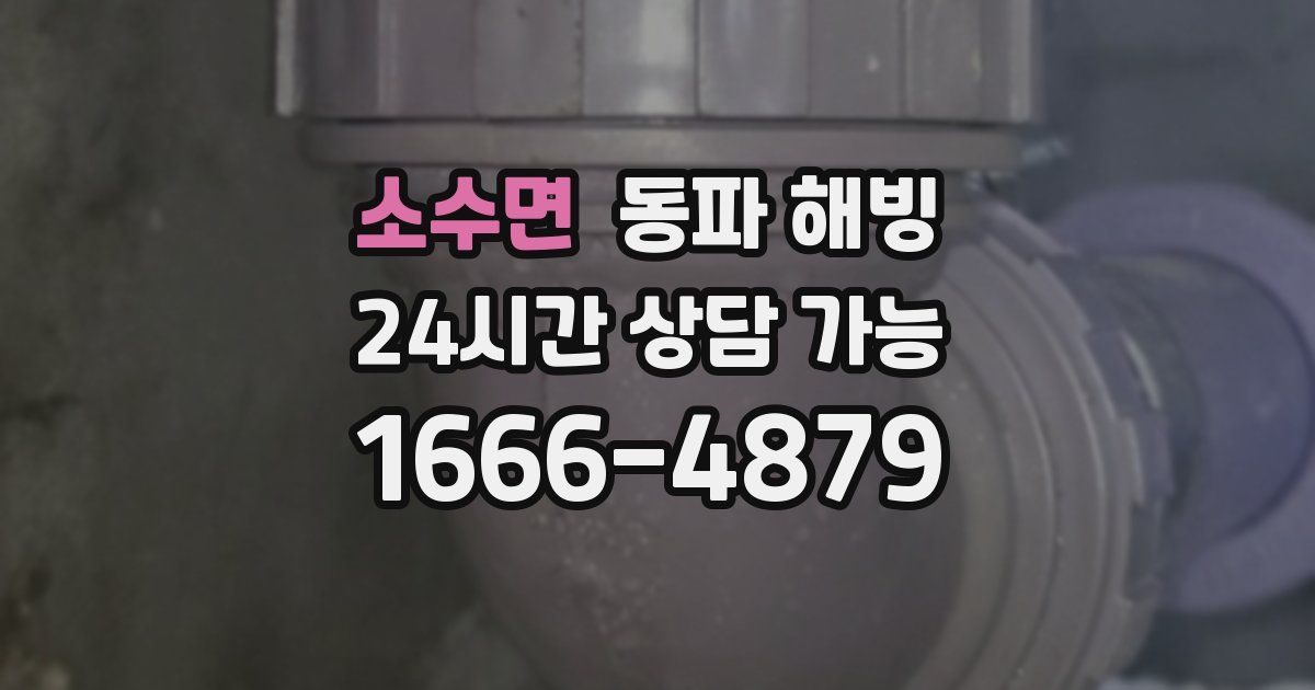 소수면 동파 해빙