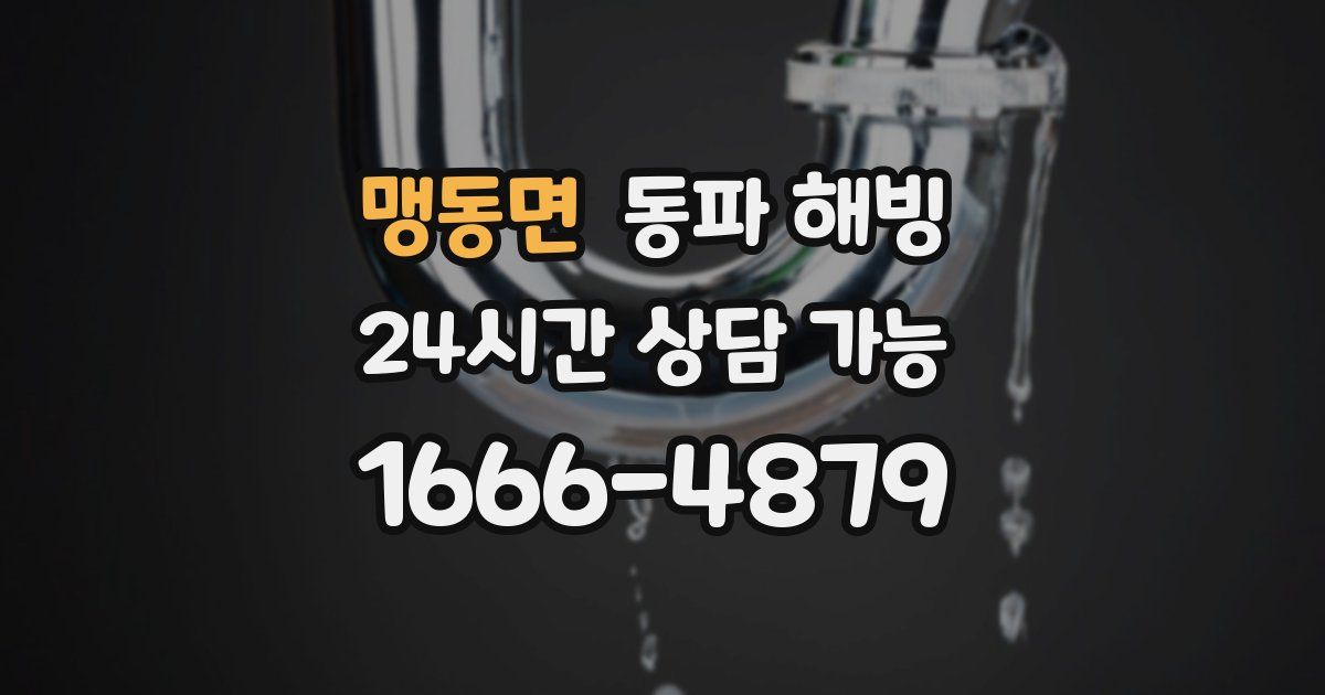 맹동면 동파 해빙