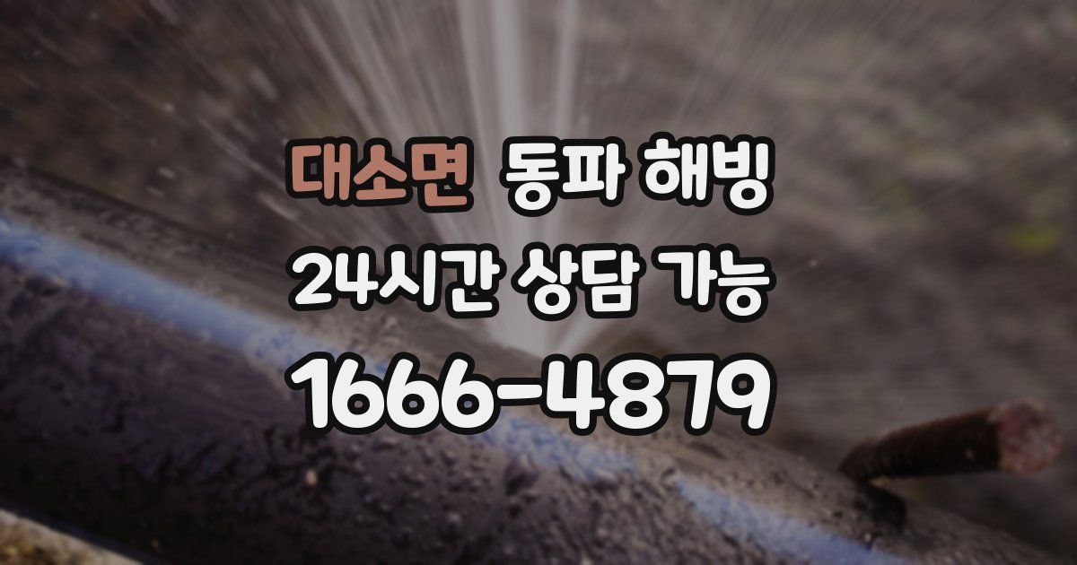 대소면 동파 해빙