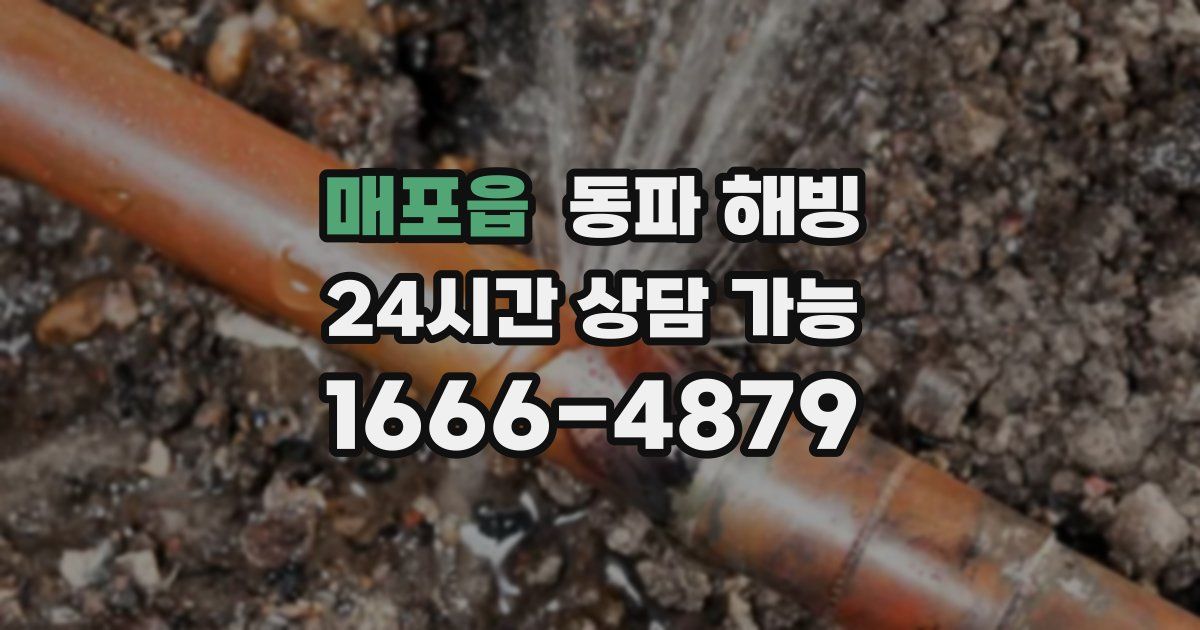 매포읍 동파 해빙