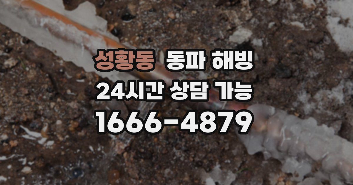 성황동 동파 해빙