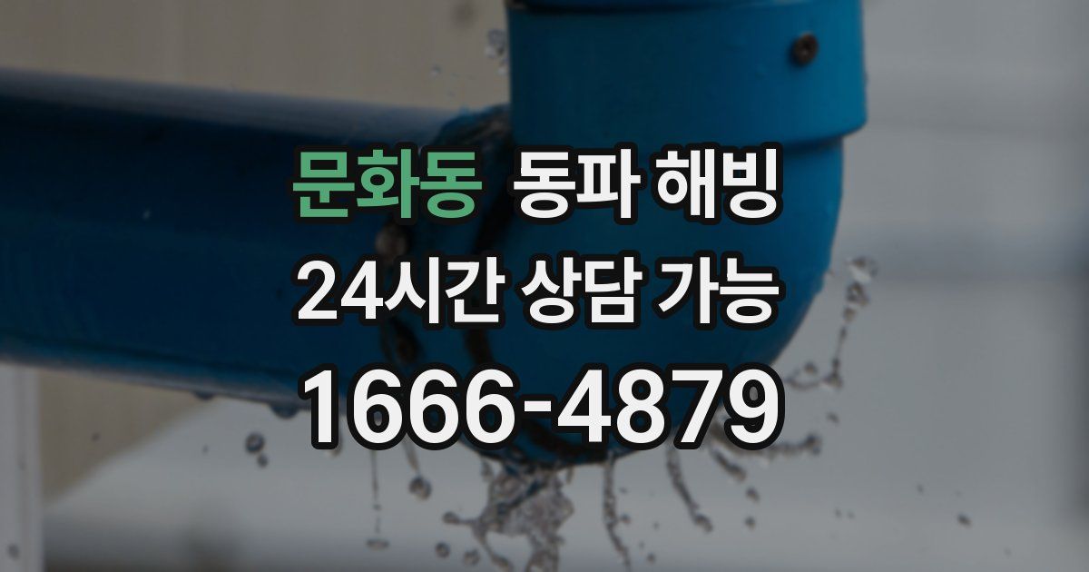 문화동 동파 해빙