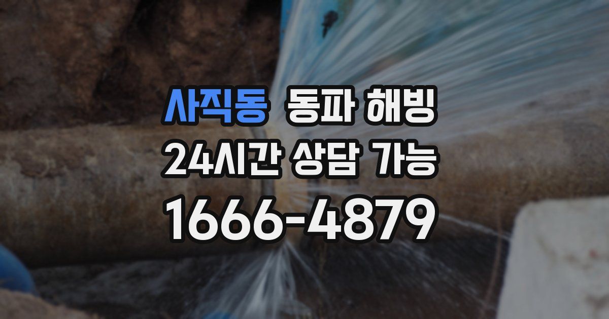 사직동 동파 해빙