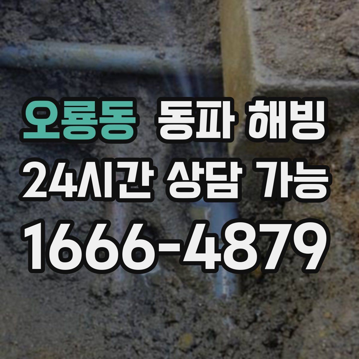 오룡동 동파 해빙 주택과 상가 결빙 대응이 다른 이유