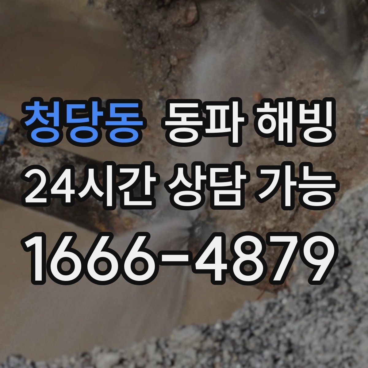 청당동 동파 해빙 현장 점검이 어떤 순서로 진행되는지