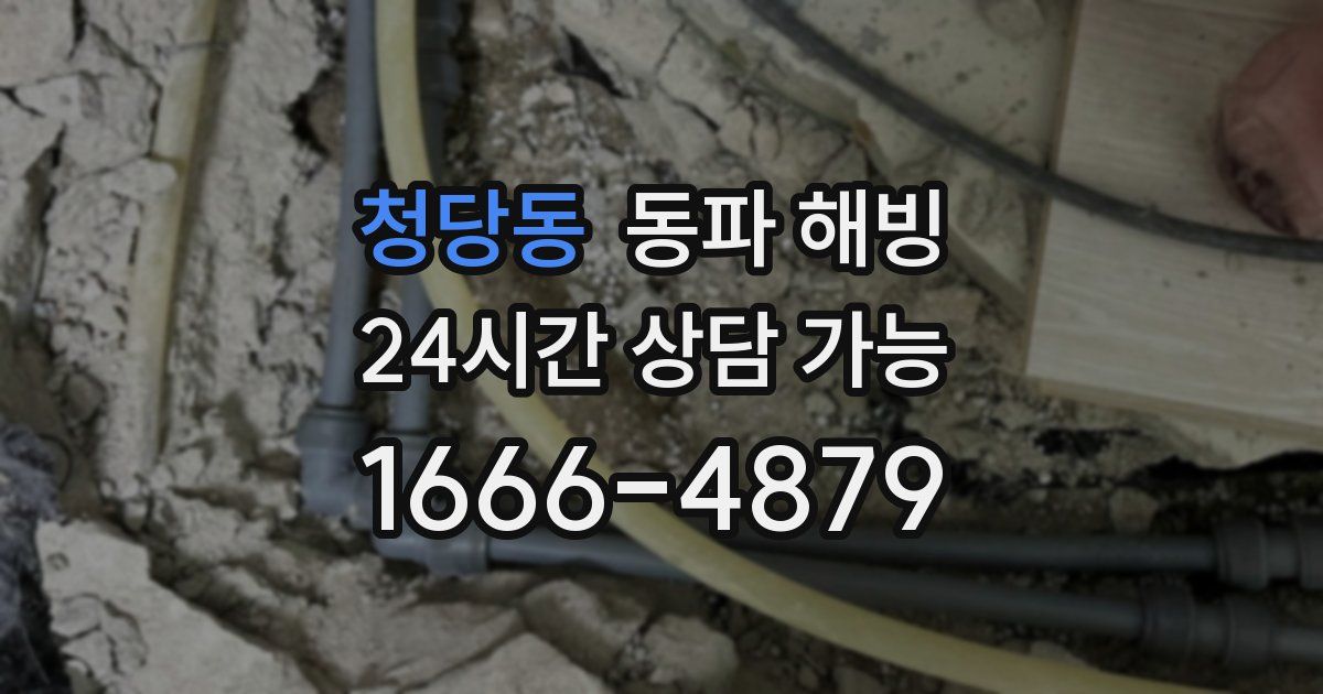 청당동 동파 해빙