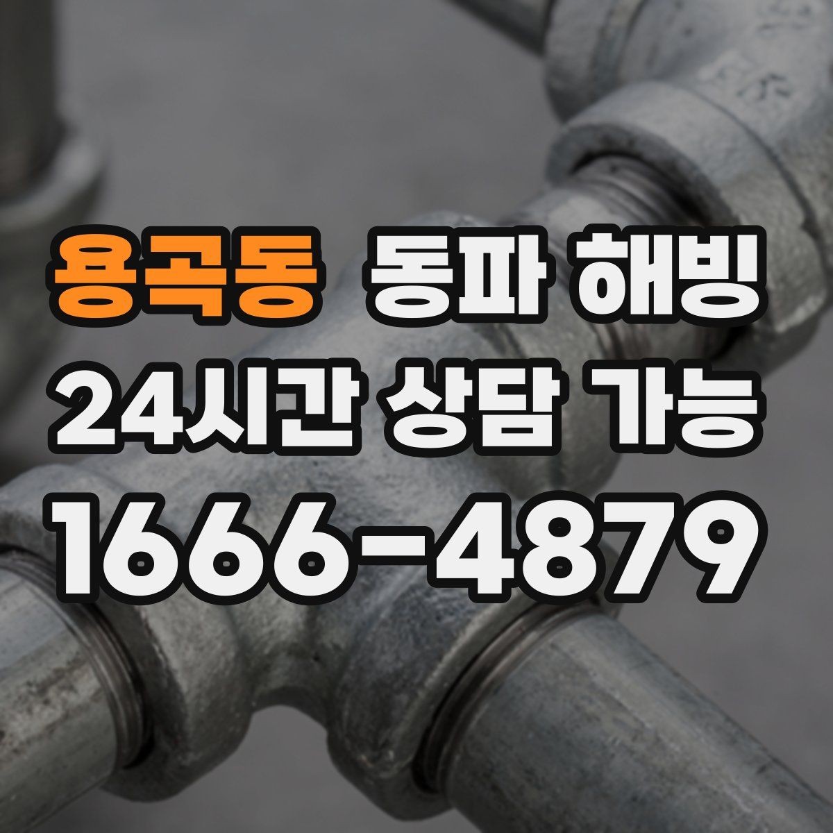 용곡동 동파 해빙 취약 구간을 한 번에 정리하는 체크