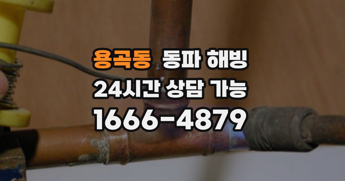 용곡동 동파 해빙