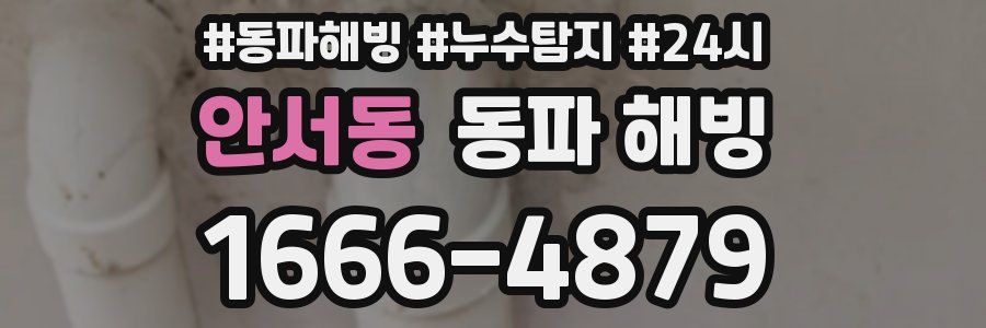 안서동 동파
