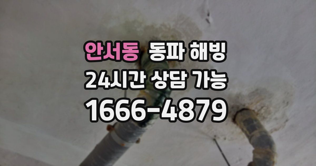 안서동 동파 해빙