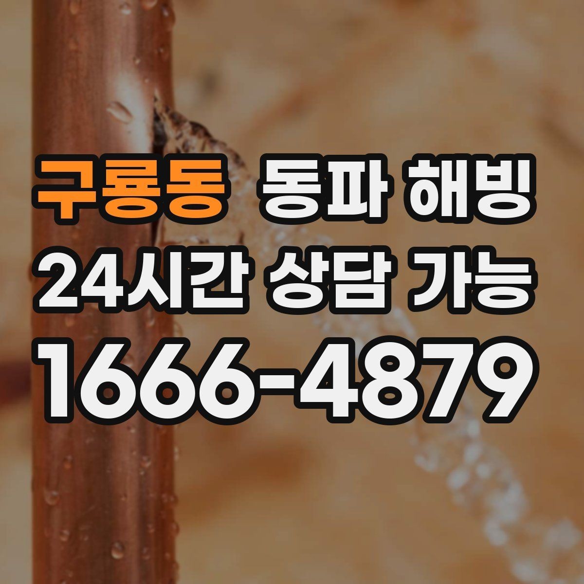 구룡동 동파 해빙 급수 중단인데 배수는 잘 될 때 점검