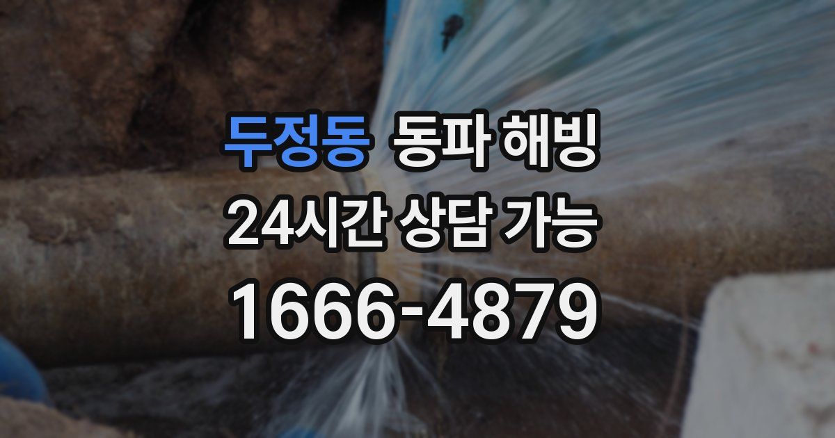 두정동 동파 해빙