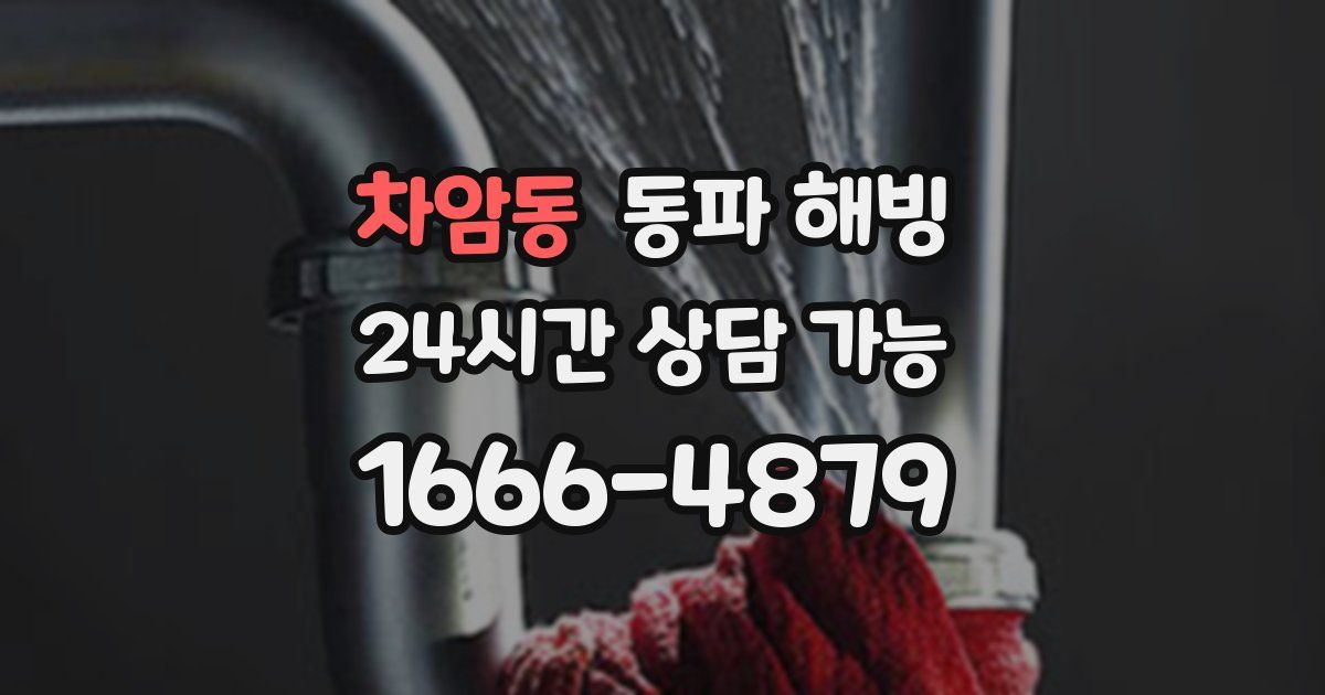 차암동 동파 해빙