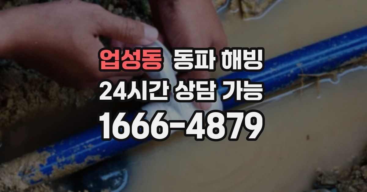 업성동 동파 해빙