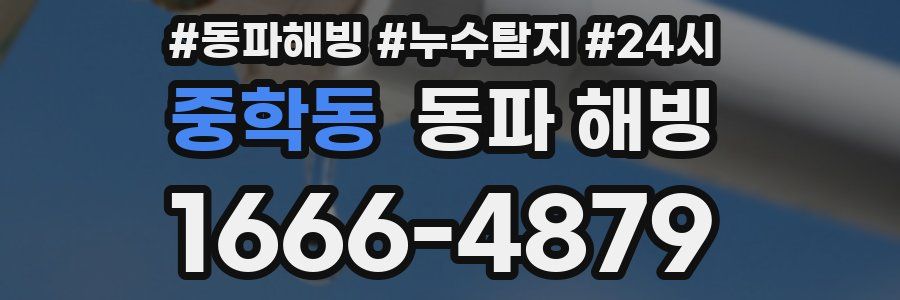 중학동 동파