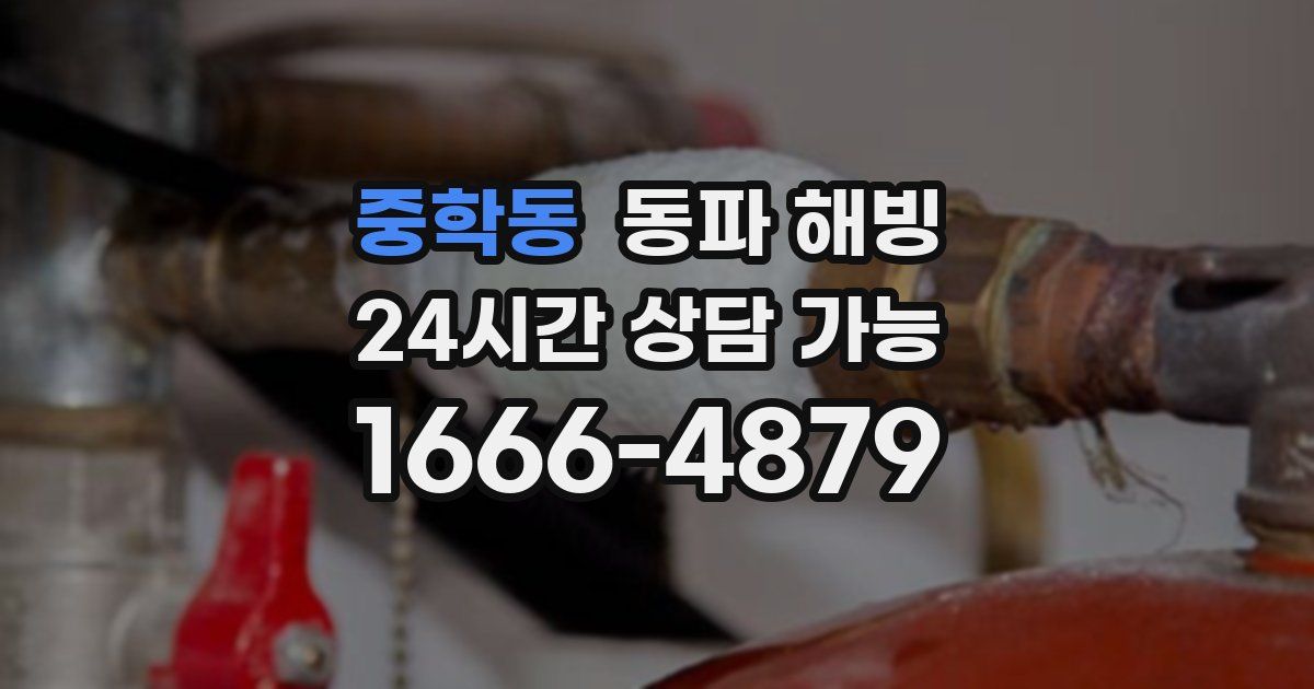 중학동 동파 해빙