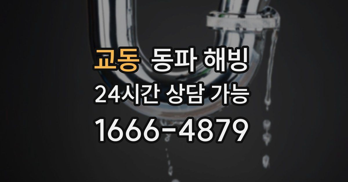 교동 동파 해빙