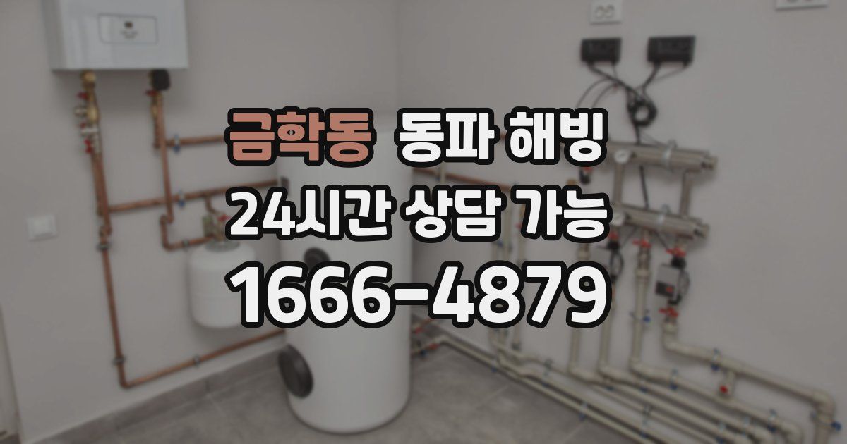 금학동 동파 해빙