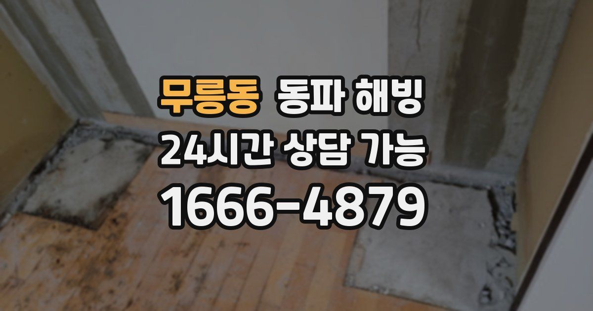 무릉동 동파 해빙