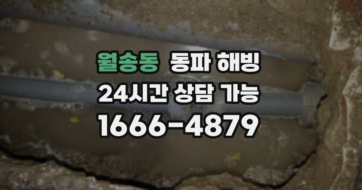 월송동 동파 해빙