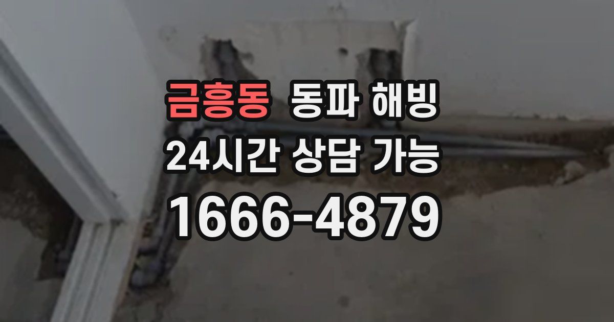 금흥동 동파 해빙