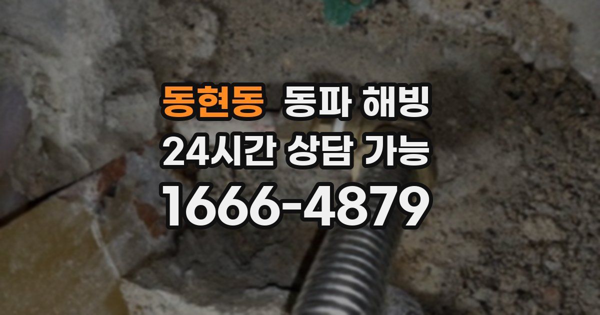 동현동 동파 해빙