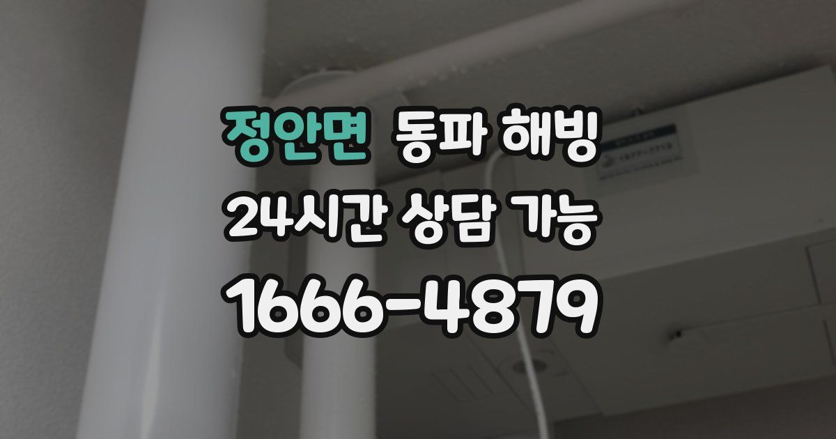 정안면 동파 해빙