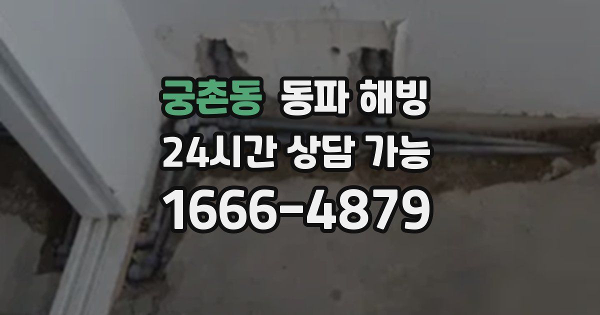 궁촌동 동파 해빙