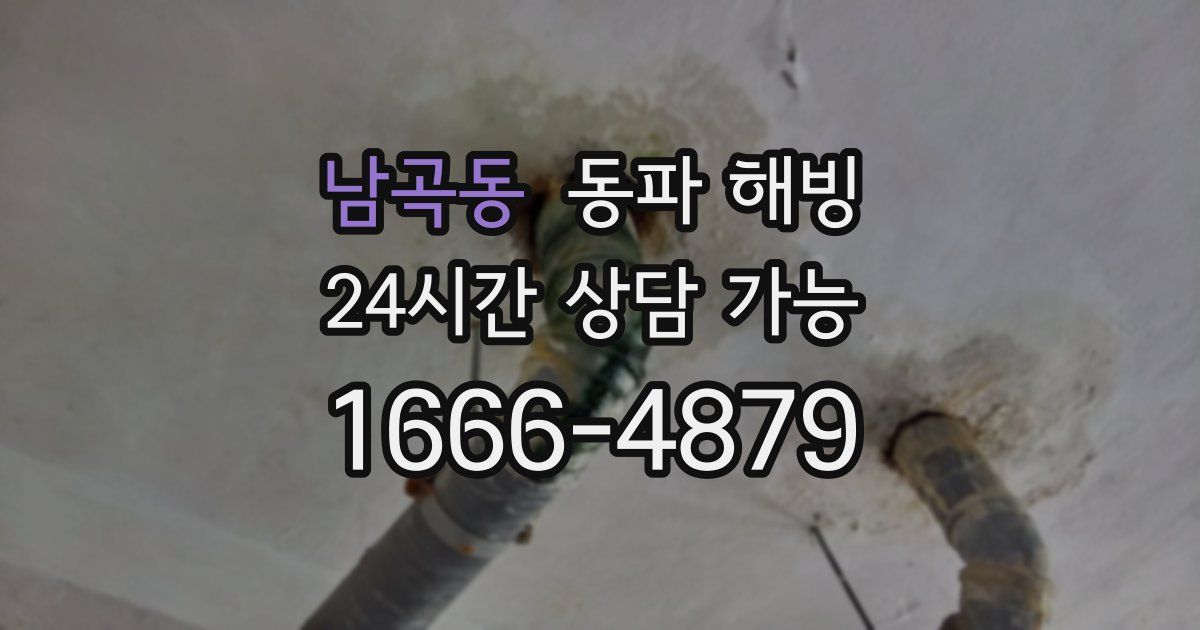 남곡동 동파 해빙