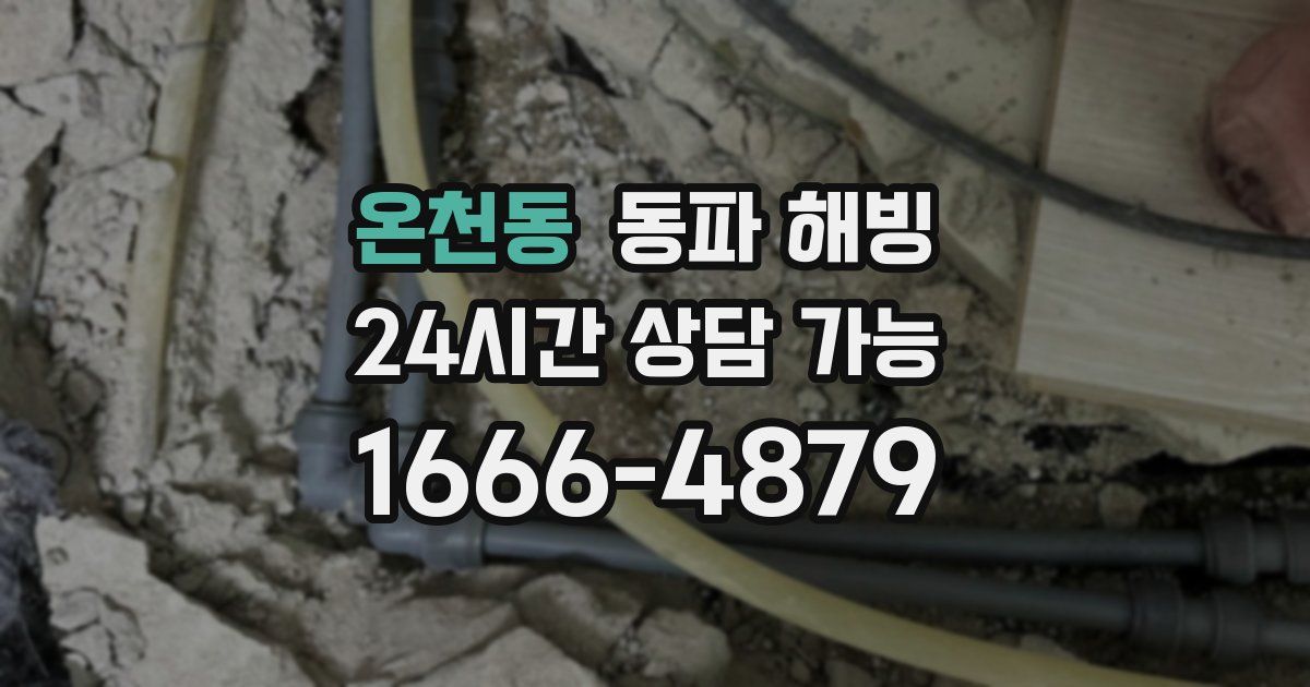 온천동 동파 해빙