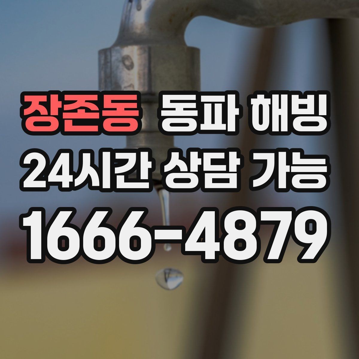 장존동 동파 해빙 외부 수도만 막히는 결빙 패턴 정리