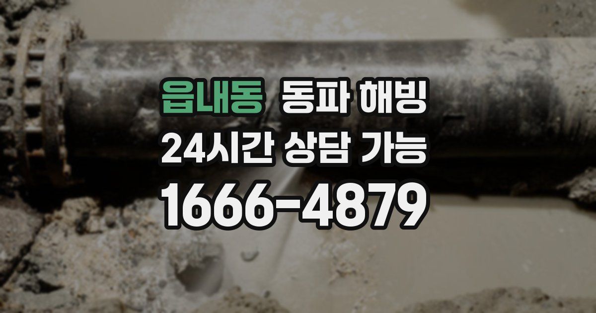 읍내동 동파 해빙