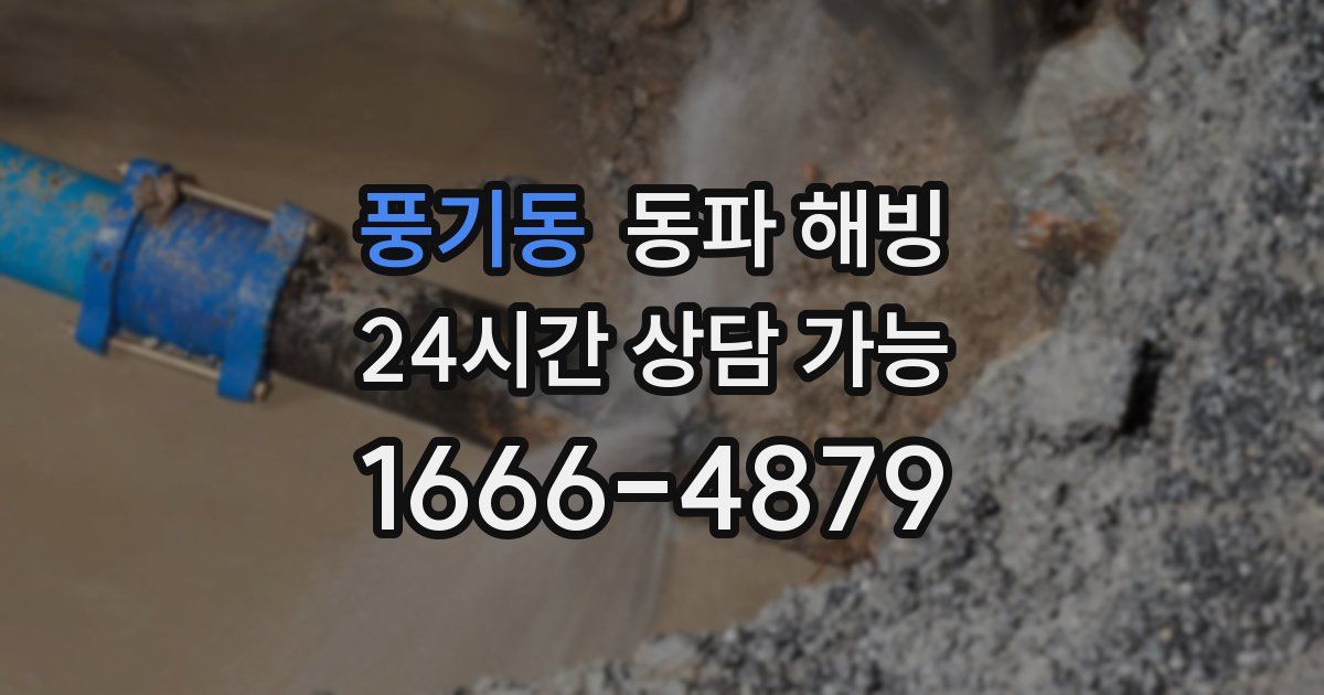 풍기동 동파 해빙