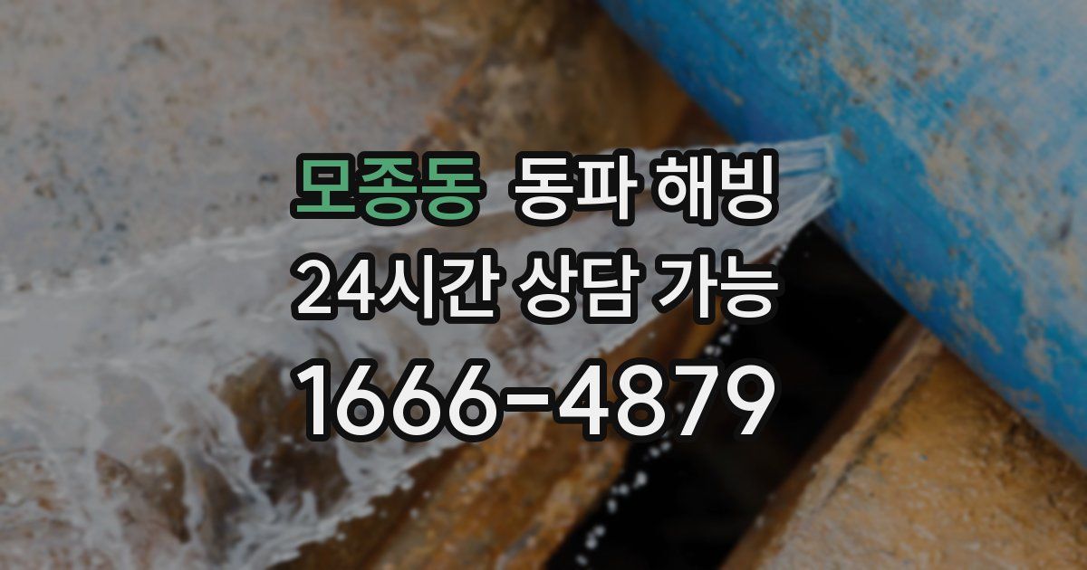 모종동 동파 해빙