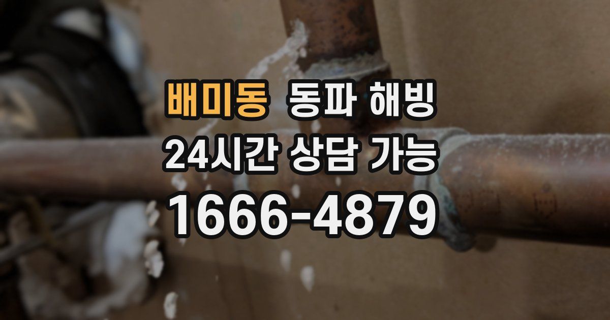 배미동 동파 해빙